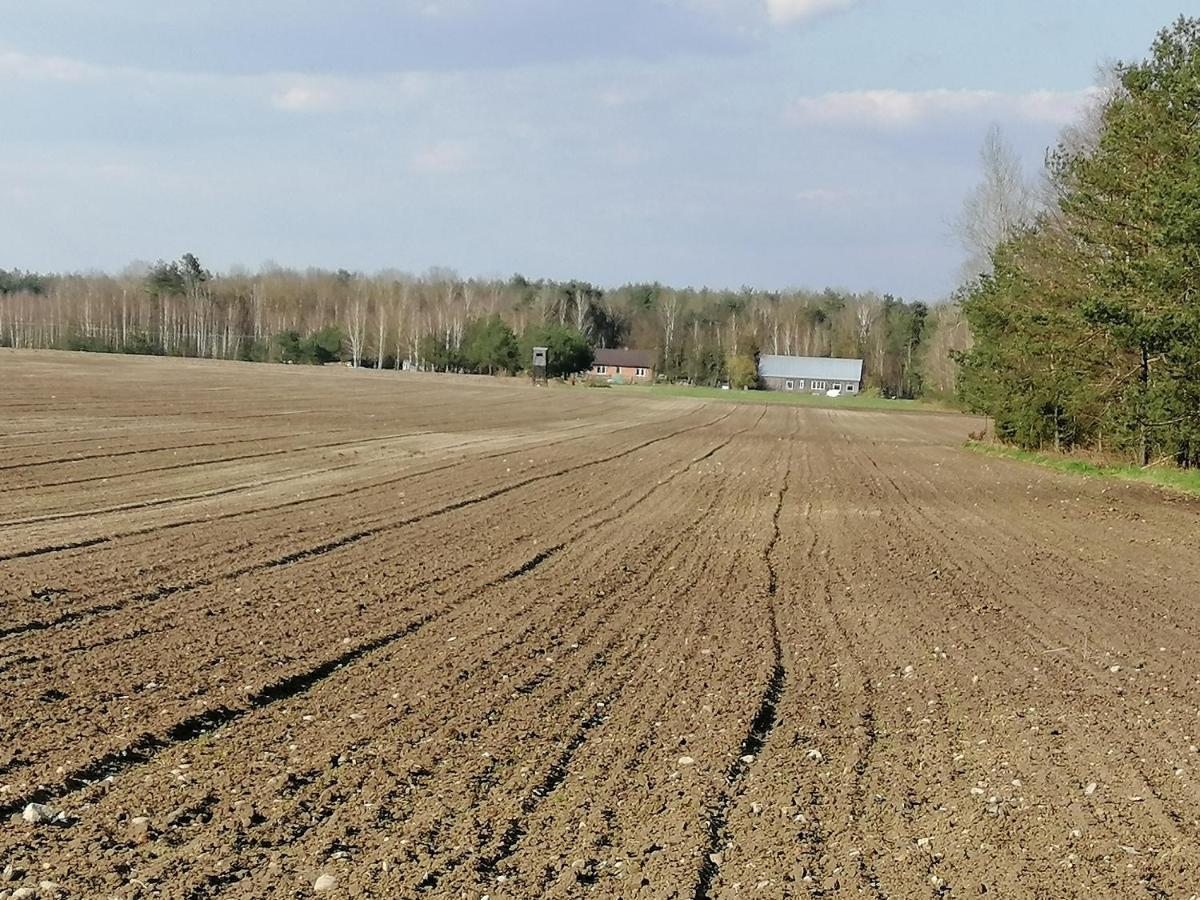Agroturystyka Pod Dobrymi Skrzydlami Wiski Exterior photo